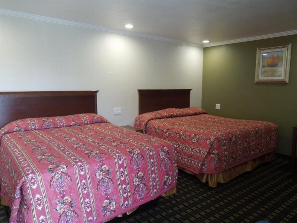 Castaway Motel image 14